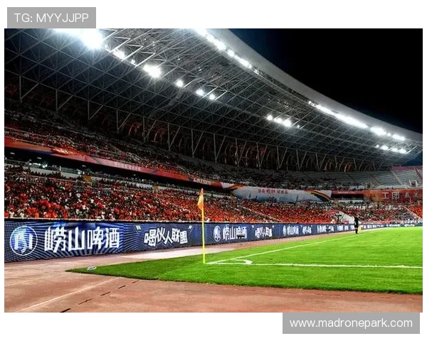 乐冠体育网站官网合作伙伴介绍共同推动体育事业发展新局面