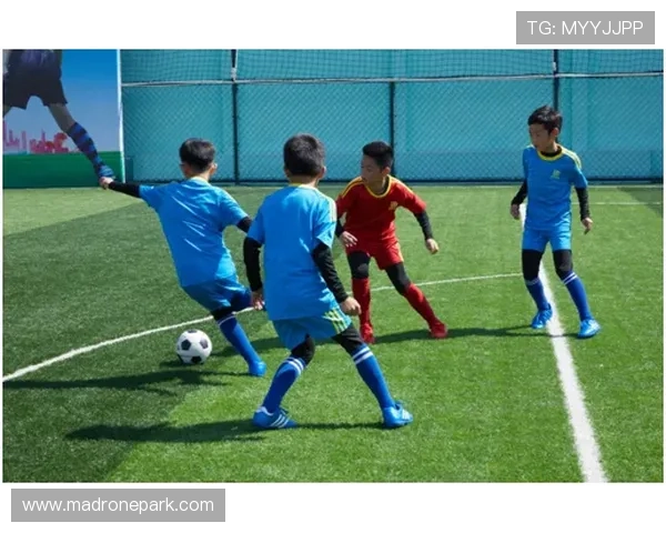 乐动全体育下载后如何快速注册和登录使用指南