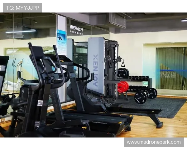 乐动全体育：丰富线上线下运动课程，打造多元化健身平台