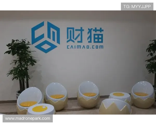 乐投平台:严格的风控体系保障资金安全与公平公正