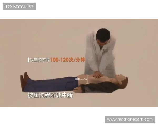 乐竞体育官网最新赛事资讯全面解析助你掌握第一手体育动态