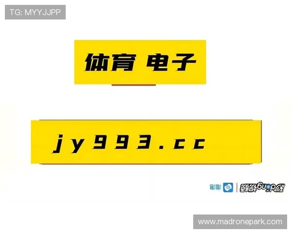 乐鱼体育app官网入口下载后遇到问题怎么办，提供专业的技术支持与帮助